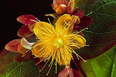 《大侠立志传》正式版会在部分地区涨价 国区不变